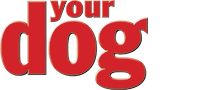 YOURDOG