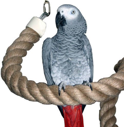Homestyle Vogelspeelgoed Touw Vogelspeelgoed 200x4 cm online kopen