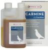 Versele-Laga Oropharma Carmine L-Carnitine Preparaat Duivensupplement 250 ml Vloeibaar online kopen