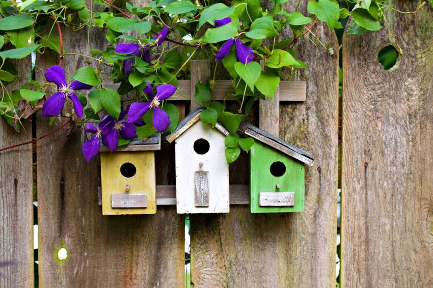 Hoe moet ik een vogelhuisje ophangen?